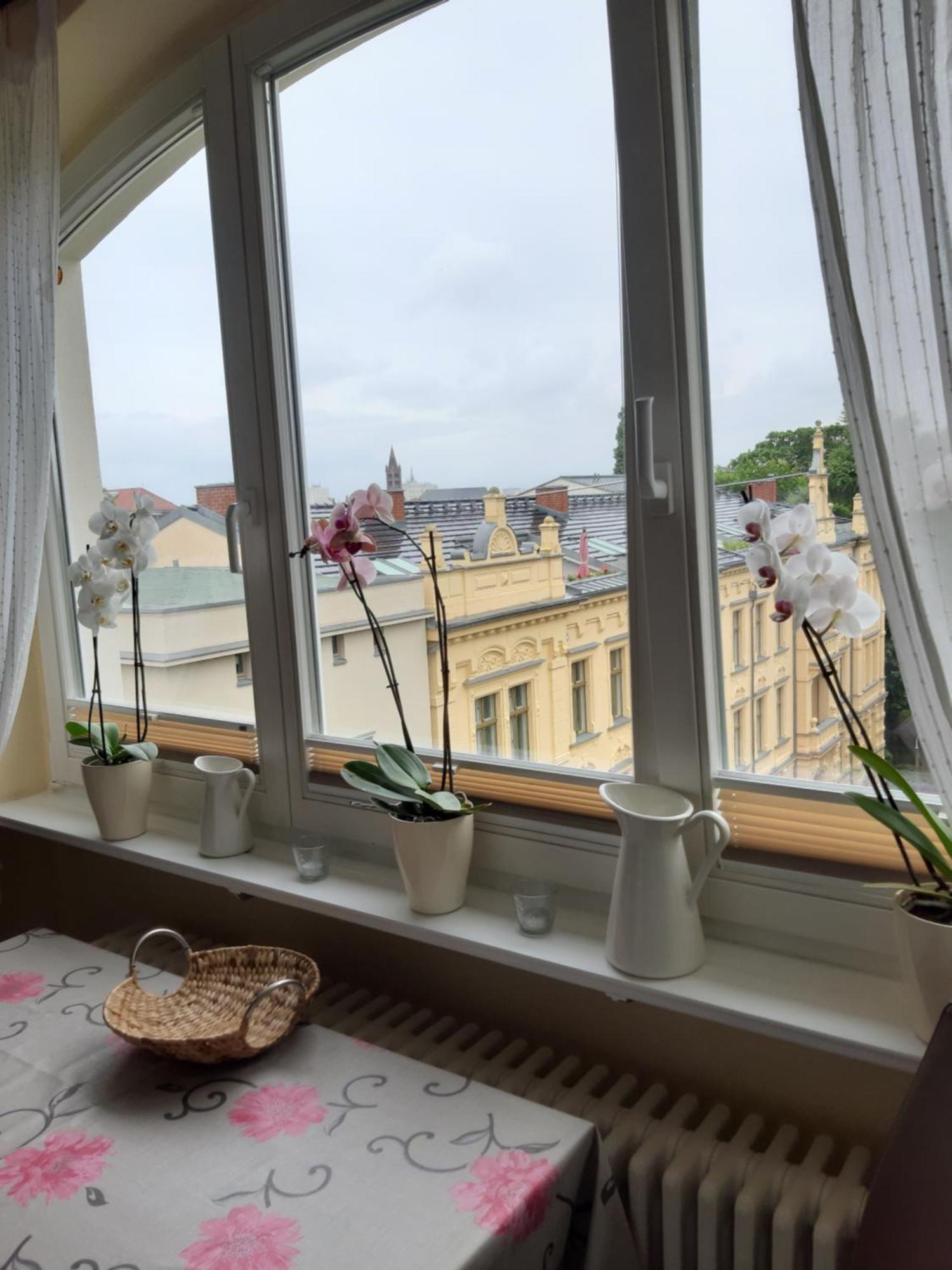 Wohnung Mit Blick Ueber 波茨坦 外观 照片